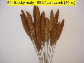 Sušené květiny po celý rok - 3