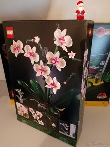 LEGO® Icons 10311 Orchidej - 3