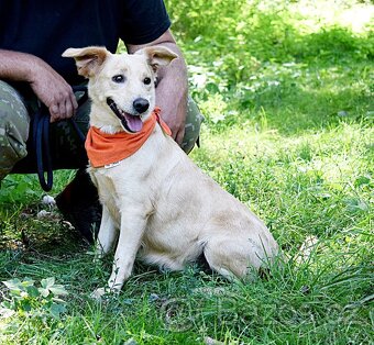 ZDENKA K ADOPCI - 2 ROKY, HODNÁ, MÁ RÁDA POZORNOST,HRAVÁ - 3