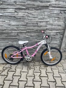 Dětské kolo Specialized Hotrock 20 - 3