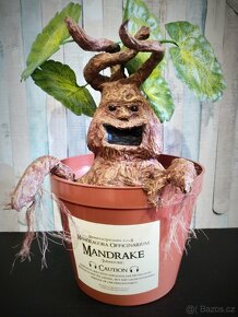 Mandragora Harry Potter - 3