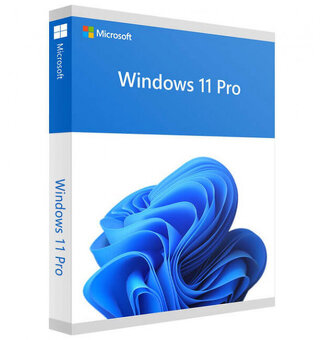 Windows 10/11 Pro Retail - 3