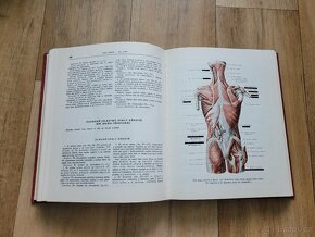 Atlas anatomie člověka 1 - 3