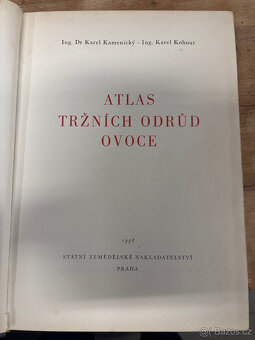 kniha Atlas Tržních odrůd ovoce 1958 - 3