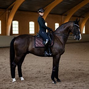 Equestrian Stockholm Mahogany Glimmer DL a PVS - 3