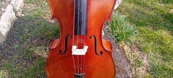 Violoncello - 3