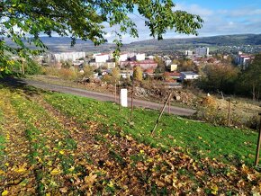 PRODEJ POZEMKU ÚSTÍ NAD LABEM VŠEBOŘICE - 3