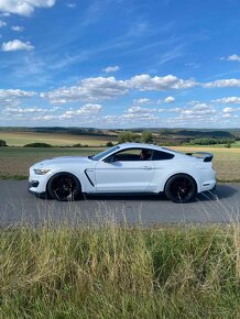 Ford Mustang 5.0 V8 manual, Shelby GT350R packet - 3