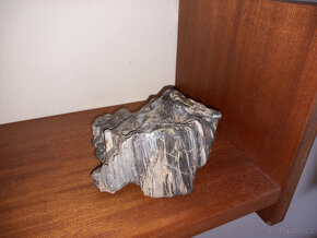 Zkameněliny, paleontologie, zkamenělé dřevo - 3