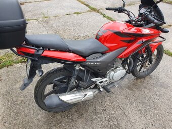 Honda CBF 125 - 19 000 km - 3