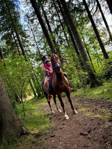 Krásný ryzák Appaloosa/Quarter Horse jmenem Casper - 3