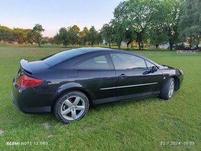 Peugeot 407 coupe - 3