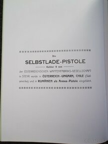 Selbstlade pistole (Steyr) - 3