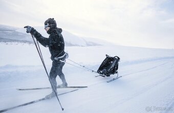 Lyže k vozíku Chariot, Croozer nebo Thule - 3