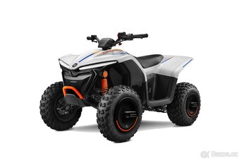 CFMOTO EV 110 - 4