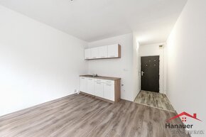 Prodej bytu 1+kk, 20 m2, Chlumec, ul. Krušnohorská - 4