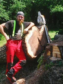 Kácení a ořezy stromů Uherskobrodsko - 4