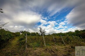 Prodej chaty s vinicí pod Košťálovem v srdci Českého středoh - 4