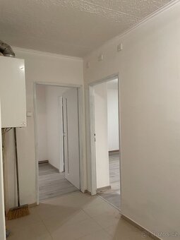 Pronájem bytu 1+1 42m2 po rekonstrukci - 4