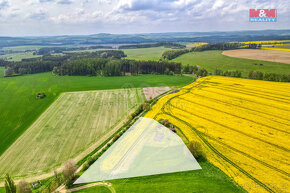 Prodej pole, 6672 m², Pláň, Ostrov u Bezdružic - 4