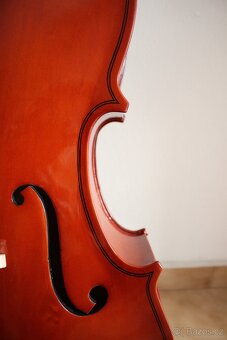 Violoncello 3/4, 4/4 - 4