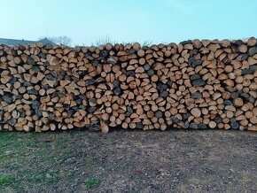 Palivové štípané dřevo - Polná - 4