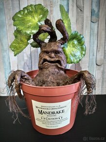 Mandragora Harry Potter - 4