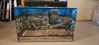 Terarium se světlem pro agamu - 4