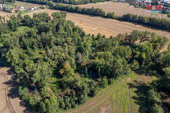 Prodej lesa, 2252 m², Horka nad Moravou - 4