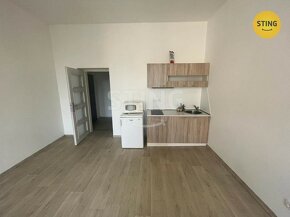 Pronájem apartmá 1+kk., 131060 - 4