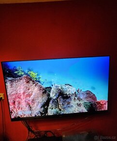 65" Panasonic TX-65GZ1500E,superstav,2020,OLED,smart - 4