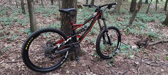 Specialized Status FSR - 4