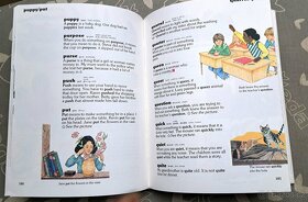 Illustrated first dictionary - 4