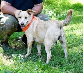 ZDENKA K ADOPCI - 2 ROKY, HODNÁ, MÁ RÁDA POZORNOST,HRAVÁ - 4