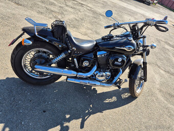 Chopper HONDA VT750DC - 4
