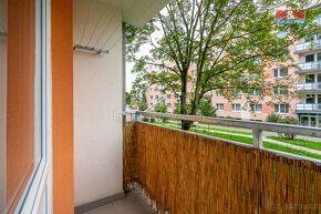 Prodej bytu 3+1, 84 m², Rychnov nad Kněžnou, ul. Palackého - 4