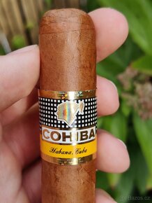 Cohiba Robustos - 4