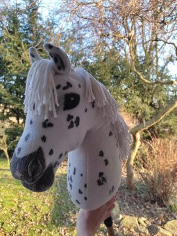 Hobby horse - 4