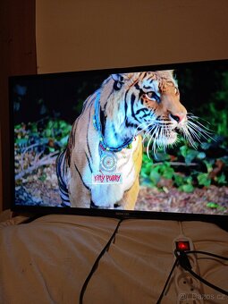 Sencor Smart TV 32" - 4