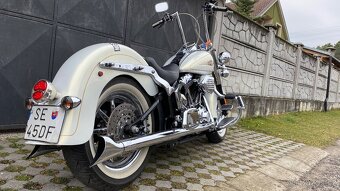 Harley Davidson Softail 110” - 4