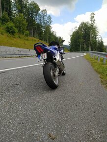 Suzuki SV650S 2003 A2 35KW - 4