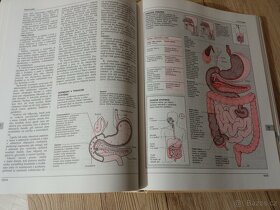 Rodinná encyklopedie zdraví - 4