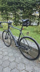 Nové Canyon Endurace CF 7 2024 Shimano 105, XL - 4