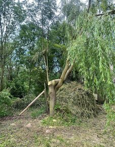 Nabízíme naše kvalitní kácecí a zahradnické služby - 4