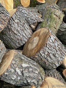 Palivové dřevo měkké suché - 4