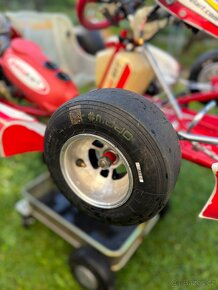 Kart Birel Easykart 60cc - 4