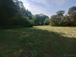 Pozemek 10.503m2 Vlkonice u Neveklova trvalý travní porost - 4