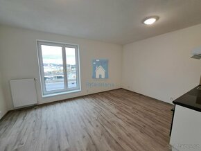 Naše společnost Vám nabízí pronájem bytu 1+KK, 26,8 m2, Plze - 4