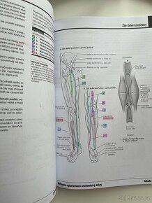 Netterův vybarvovací anatomický atlas - 4