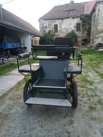 Kočár, wagoneta , pony , koně - 4